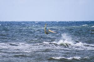 Watersportcentrum en beach club 