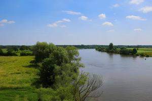 Camping aan de oevers van de Maas